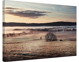 Andreas Stridsberg - Misty Morning Obraz na płótnie, (80 x 60 cm)