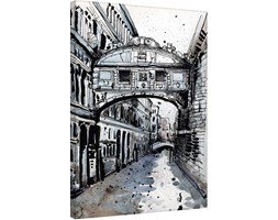 Jack the Flipper - Venice Iv Obraz na płótnie, (60 x 80 cm)