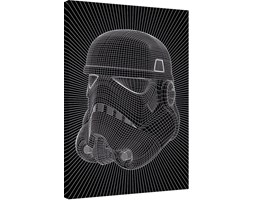 Gwiezdne wojny - Stormtrooper Wire Obraz na płótnie, (60 x 80 cm)