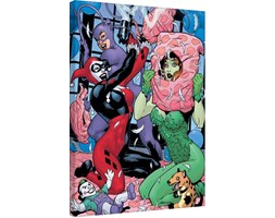 Dc Comics - Slumber Party Obraz na płótnie, (60 x 80 cm)