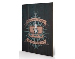 Obraz na drewnie Fantastyczne zwierz ta i jak je znale - Magical Case, (40 x 59 cm)