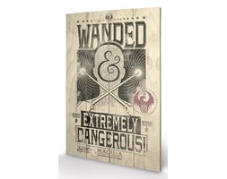 Obraz na drewnie Fantastyczne zwierz ta i jak je znale - Extremely Dangerous, (40 x 59 cm)