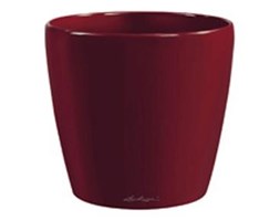 Classico 70 czerwony scarlet