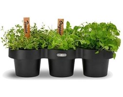 Pojemniki Pots Skagerak- Czarny