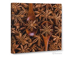 Obraz na płótnie Canvas Quadro Masala