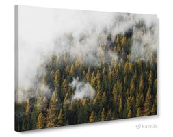 Obrazy na płótnie Canvas Panorama Forest of Fog