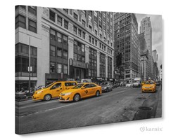 Obrazy na płótnie Canvas Panorama New York Taxi