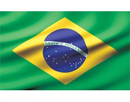 Flag Brasil Fototapeta