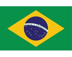 Flag Brasil Fototapeta