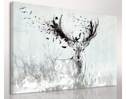 Obraz na płótnie 120x80 cm - Przemijanie