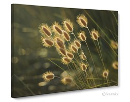 Obrazy na płótnie Canvas Panorama Trzcina