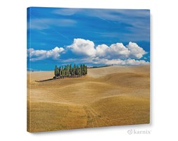 Obraz na płótnie Canvas Quadro Toska