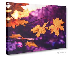 Obrazy na płótnie Canvas Panorama Kolory Jesieni