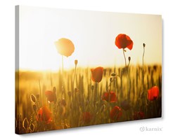 Obrazy na płótnie Canvas Panorama Maki