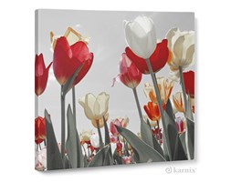 Obraz na płótnie Canvas Quadro Tulipany