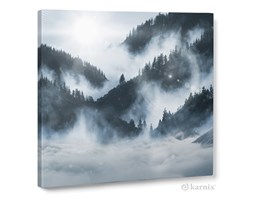 Obraz na płótnie Canvas Quadro Fog