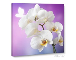 Obraz na płótnie Canvas Quadro Orchidea