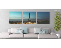 Obrazy na płótnie Canvas Tryptyk Paris Panorama