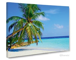 Obrazy na płótnie Canvas Panorama Palma