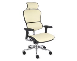Fotel Ergohuman Plus Elite LE02