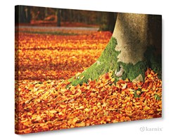 Obrazy na płótnie Canvas Panorama Złota Jesień