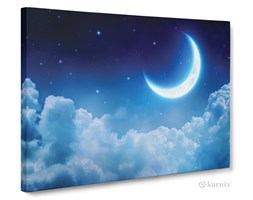 Obrazy na płótnie Canvas Panorama Dream Night