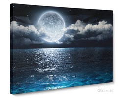 Obrazy na płótnie Canvas Panorama Blue Moon