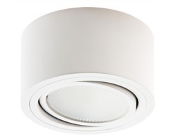 LM P 100 PLAFON NOWOCZESNA LAMPA SUFITOWA OPRAWA NATYNKOWA 12 CM ALUMINIUM BIAŁY GX53 LED NISKI