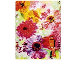Koc Bocasa - Exotic Colours - Bird in Paradise - kolorowy