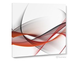 Obraz na płótnie Canvas Quadro Maz