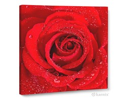 Obraz na płótnie Canvas Quadro Czerwona Roża