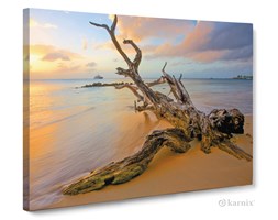 Obrazy na płótnie Canvas Panorama Morski Konar