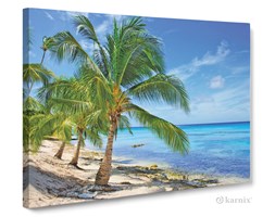 Obrazy na płótnie Canvas Panorama Palma Kokosowa