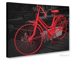 Obrazy na płótnie Canvas Panorama Czerwony Rower
