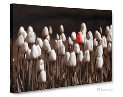 Obrazy na płótnie Canvas Panorama Róże