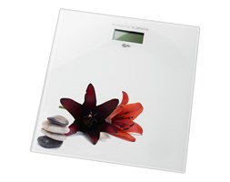 Waga BISK Zen Multi