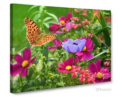Obrazy na płótnie Canvas Panorama Motyl