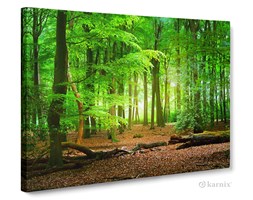 Obrazy na płótnie Canvas Panorama Puszcza