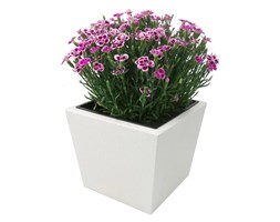 Donica, doniczka "Dalia" DON0001S