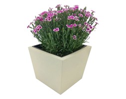 Donica, doniczka "Dalia" DON0006S