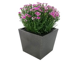 Donica, doniczka "Dalia" DON0002S