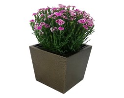 Donica, doniczka "Dalia" DON0003S