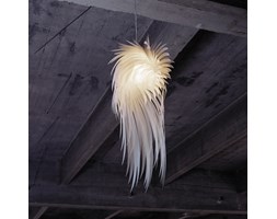 ICARUS