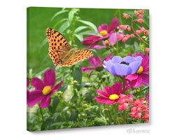 Obraz na płótnie Canvas Quadro Motyl