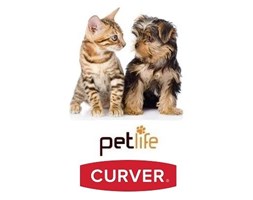 Pojemnik na karmę dla psa kota żwirek 3L CURVER