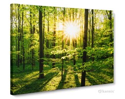 Obrazy na płótnie Canvas Panorama Las III