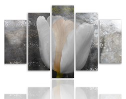 Biały tulipan, Pięcioczęściowy - pentaptyk