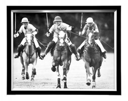 Obraz Polo Players III 45x55cm