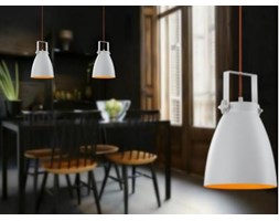 Lampa wisząca 300600101 Trio