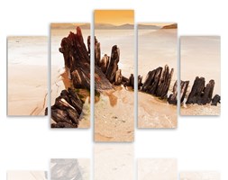 Fragment wraku na plaży, Pięcioczęściowy - pentaptyk
